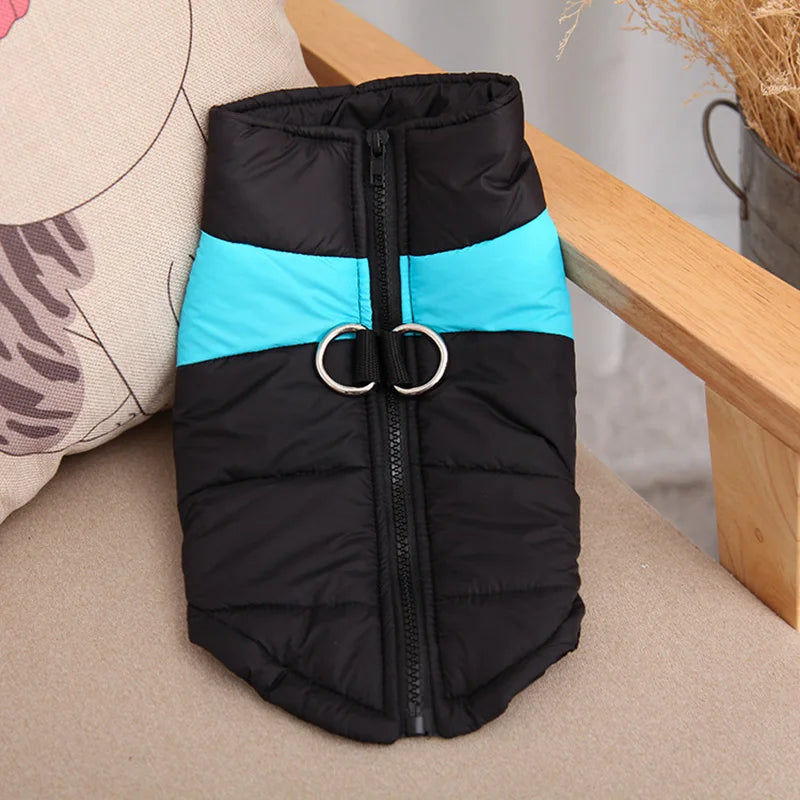 Chaleco acolchado impermeable para perro con arnés integrado