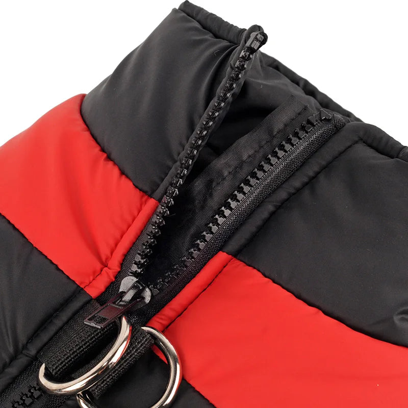 Chaleco acolchado impermeable para perro con arnés integrado