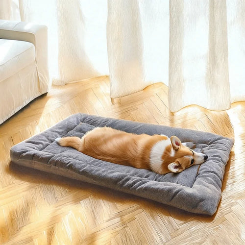 Cama acolchada confort