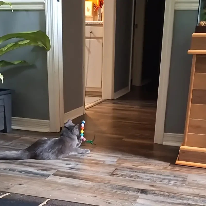 Juguete interactivo para gatos.