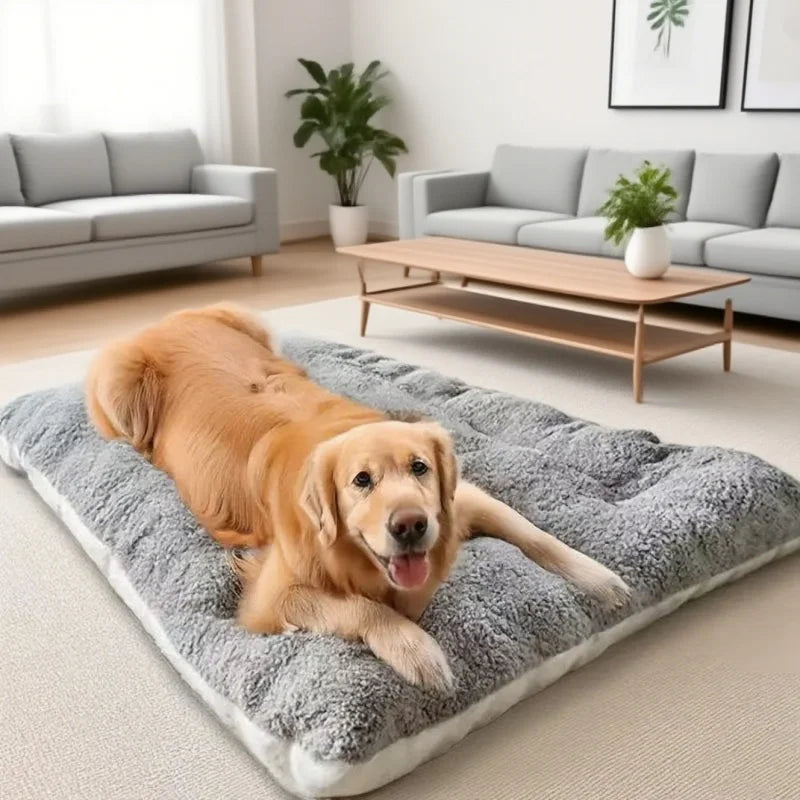 Cama acolchada confort